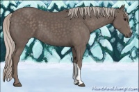 Horse Color:Silver Black