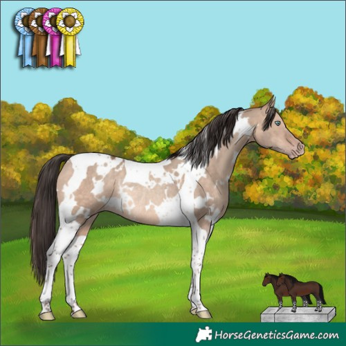 Horse Color:White Spotted Sable Champagne Dun Tobiano Rabicano