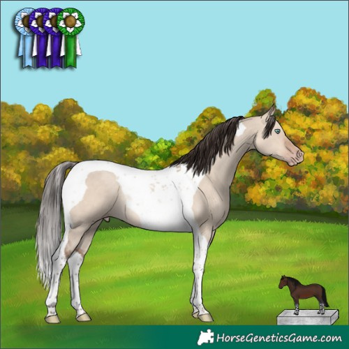 Horse Color:Sable Champagne Dun Tobiano Rabicano