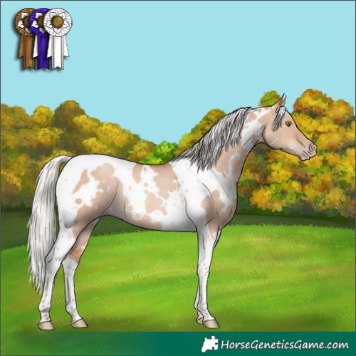 Horse Color:White Spotted Silver Sable Champagne Dun Tobiano Rabicano 
