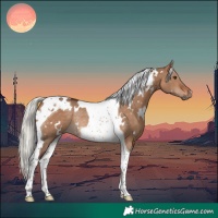 Horse Color:White Spotted Silver Brown Dun Tobiano Rabicano 