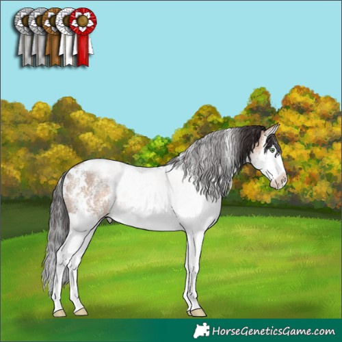 Horse Color:White Spotted Brown Dun Sabino Splash Rabicano