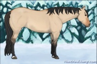 Horse Color:Bay Roan Dun 