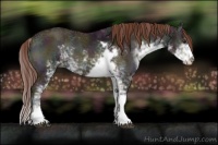 Horse Color:Midnight Red Onyx Ice Sabino 