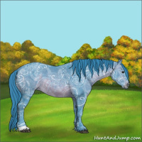 Horse Color:Watercolor Brown Ice
