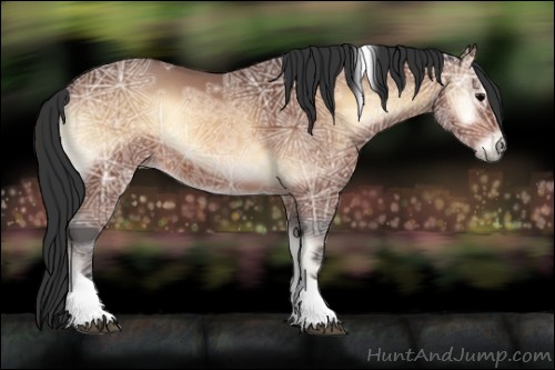 Horse Color:Bay Ice Onyx Tobiano Rabicano
