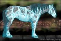 Horse Color:Thunderstruck Black Ice Frame 