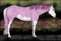 Horse Color:Watercolor Liver Chestnut Ice Splash 