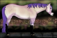 Horse Color:Watercolor Bay Roan Onyx Rabicano 
