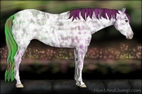 Horse Color:Plaid  Liver Chestnut Ice 