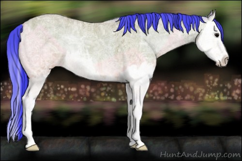 Horse Color:Watercolor Bay Ice Onyx Splash