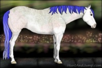 Horse Color:Watercolor Bay Ice Onyx Splash 