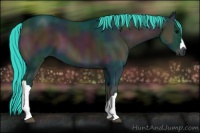 Horse Color:Watercolor Midnight Blue Onyx 
