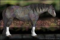 Horse Color:Midnight Bay Ice Onyx 