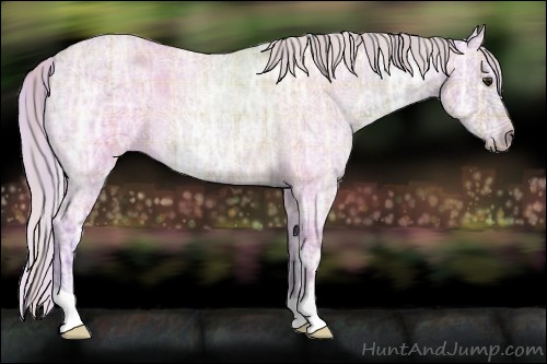 Horse Color:Watercolor Plaid  Silver Bay Ice Roan Dun 