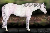 Horse Color:Watercolor Plaid  Silver Bay Ice Roan Dun 