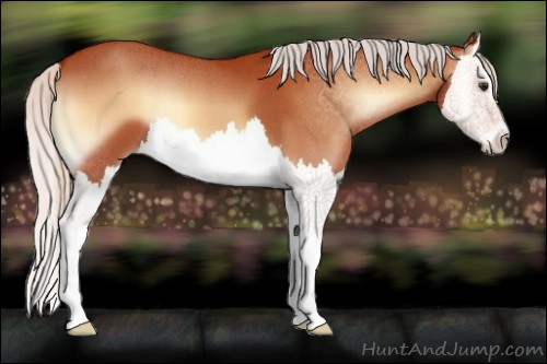 Horse Color:Silver Bay Roan Onyx Splash