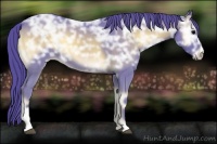 Horse Color:Watercolor Blue Onyx Ice Roan Sabino 