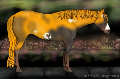 Horse Color:Liver Chestnut Frame Rabicano
