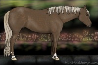 Horse Color:Chocolate Palomino 