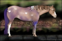 Horse Color:Liver Chestnut Pearl