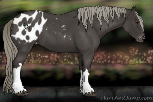 Horse Color:Liver Red Roan Mushroom Appaloosa 