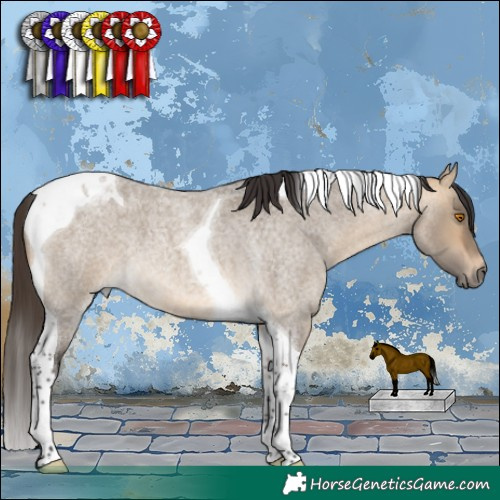Horse Color:Buckskin Roan Dun Tobiano 