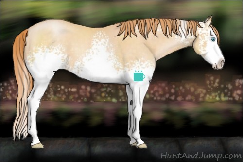 Horse Color:White Spotted Buckskin Pearl Splash