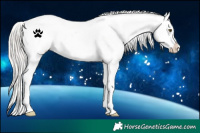 Horse Color:White Spotted Silver Brown Pearl Appaloosa 