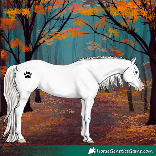 Horse Color:Chocolate Palomino Pearl Varnish