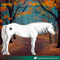 Horse Color:Chocolate Palomino Pearl Varnish 