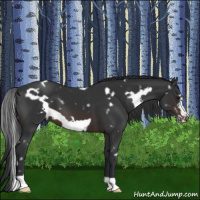 Horse Color:White Spotted Brown Frame 
