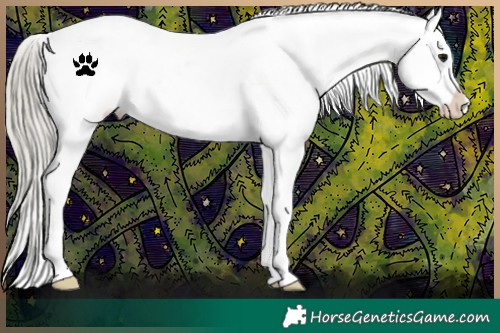 Horse Color:Silver Smoky Black Appaloosa 