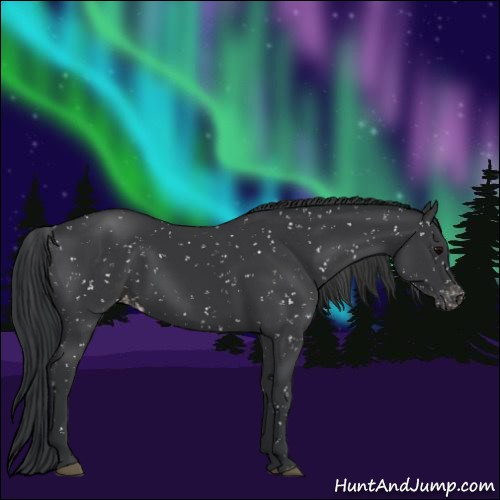 Horse Color:Black Snowflake Varnish