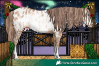 Horse Color:Sable Champagne Pearl Appaloosa and Amber Champagne Frame Appaloosa
