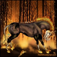 Horse Color:Void Brown Mushroom Splash Appaloosa 