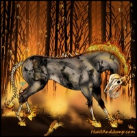 Horse Color:Void White Spotted Bay Dun Appaloosa