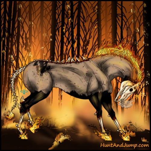 Horse Color:Void Red Dun Splash Appaloosa