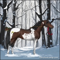 Horse Color:Bay Tobiano 