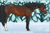 Horse Color:Brown 