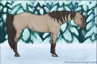 Horse Color:Smoky Grullo Roan 