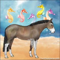 Horse Color:Brown Dun Sabino 