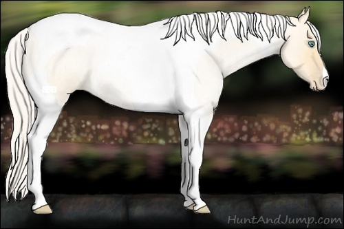Horse Color:Silver Buckskin Roan Pearl Dun Tobiano Rabicano