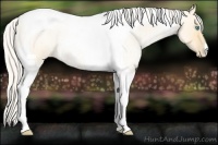 Horse Color:Silver Buckskin Roan Pearl Dun Tobiano Rabicano