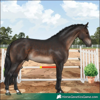 Horse Color:Brown 