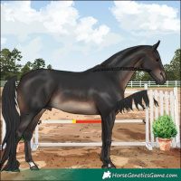Horse Color:Brown 