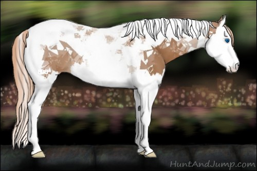 Horse Color:Chestnut Splash Tobiano 