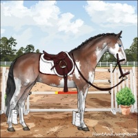 Horse Color:White Spotted Brown Roan Splash 