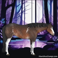 Horse Color:White Spotted Brown 