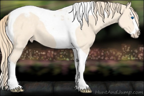 Horse Color:Perlino Splash Tobiano Appaloosa 